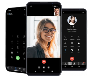 Smartphone Flexibility